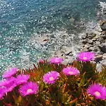 Πανσιόν Pink House Garden 4*