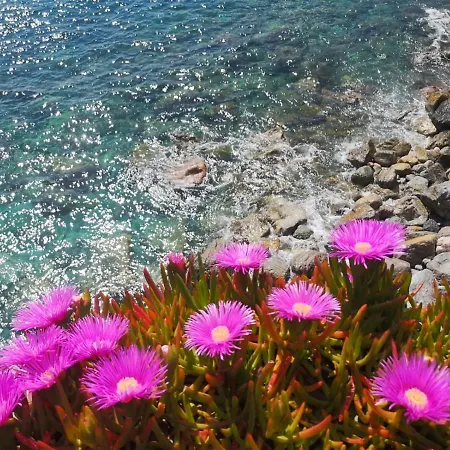 Affittacamere Pink House Garden *