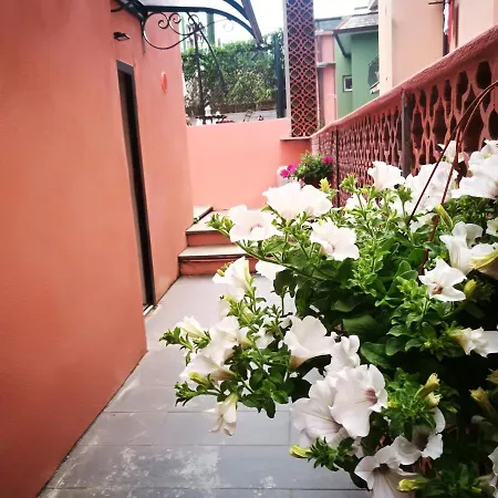 Pink House Garden