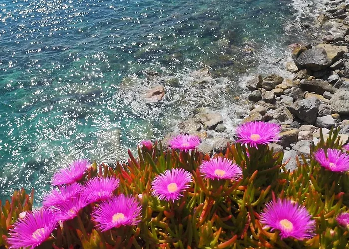 بيت ضيافة Pink House Garden 4*
