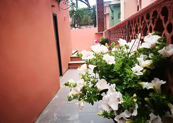 Pink House Garden