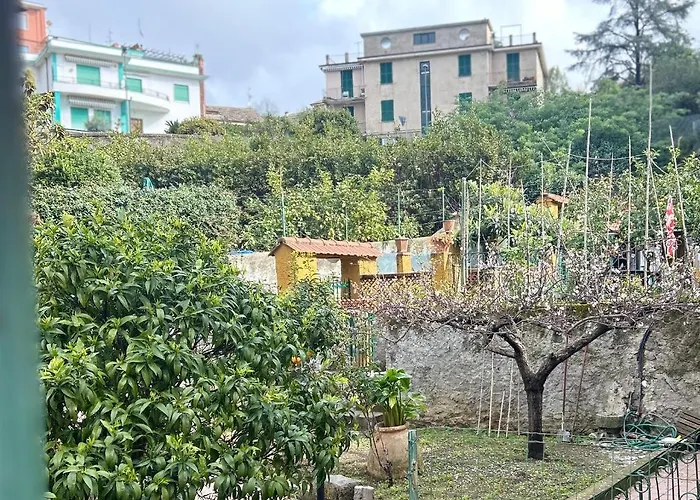 招待所 Pink House Garden 4*